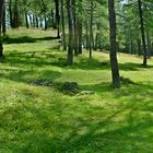 Naturschauplatz "Eulenwiesen"