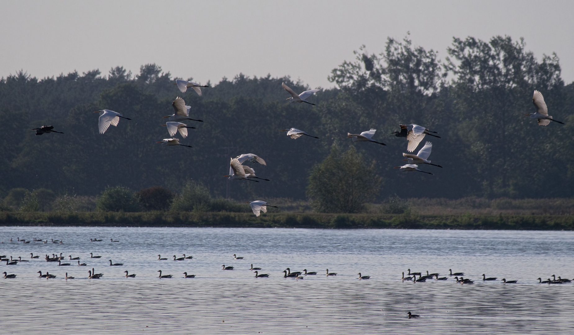 Naturschauspiel am See