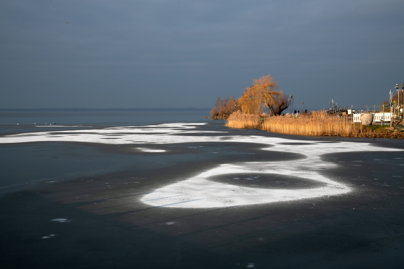 Naturschauspiel am Steinhuder Meer