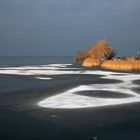 Naturschauspiel am Steinhuder Meer