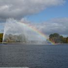 Naturschauspiel an der Alster