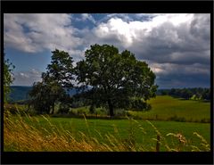 Naturschauspiel in der Eifel.