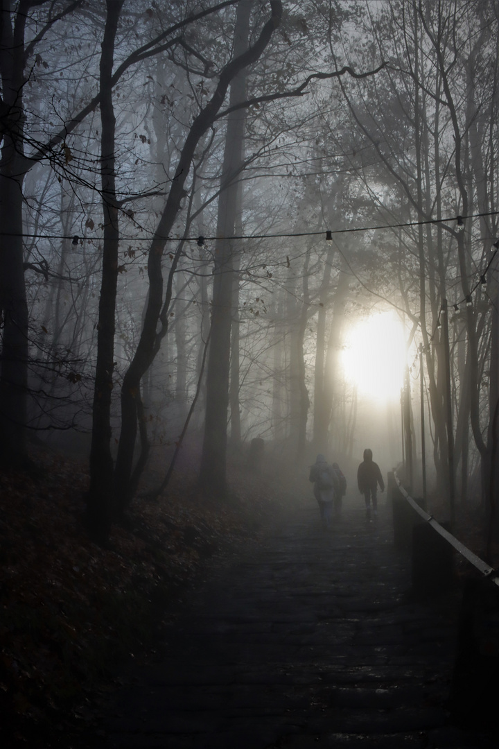 Naturschauspiel Licht I