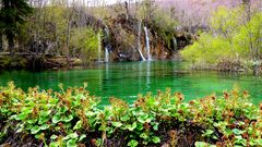 Naturschauspiel Plitvicer Seen III