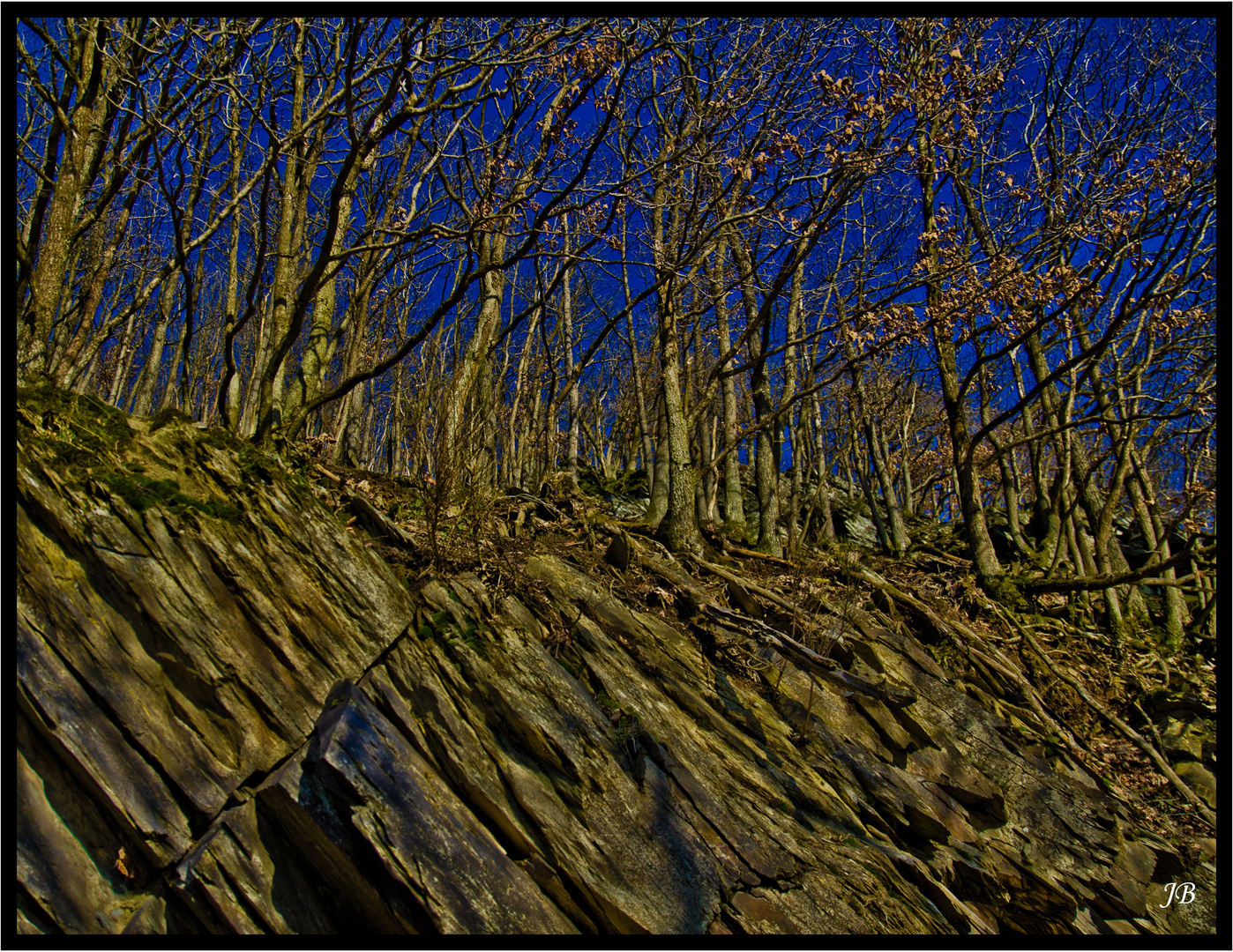 Naturschieferwal am Rursee