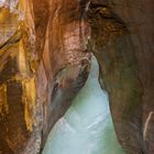 Naturschönheit Aareschlucht