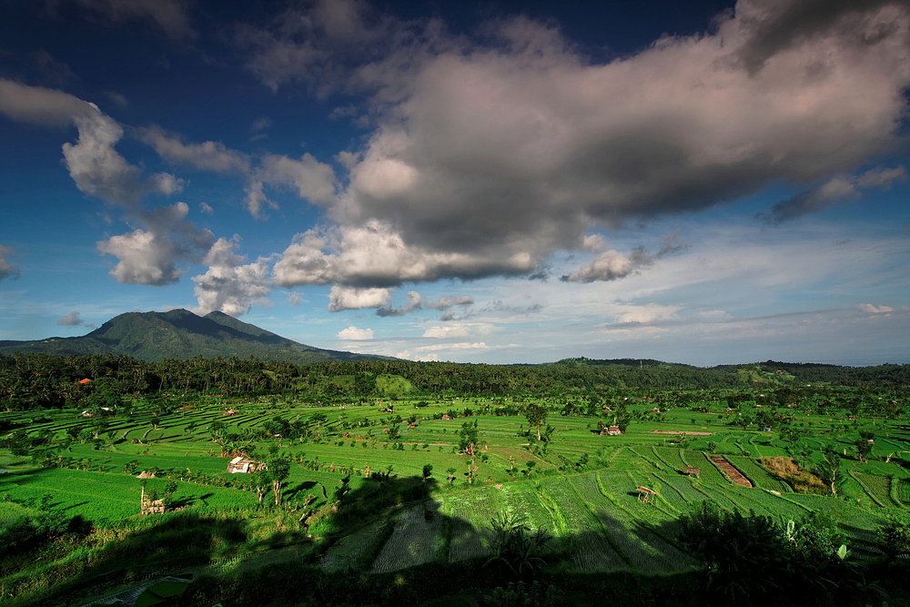 Naturschönheit Bali