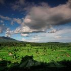 Naturschönheit Bali