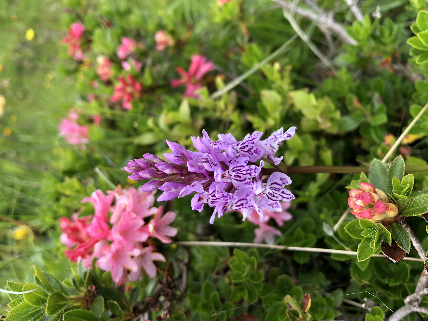 Naturschönheiten