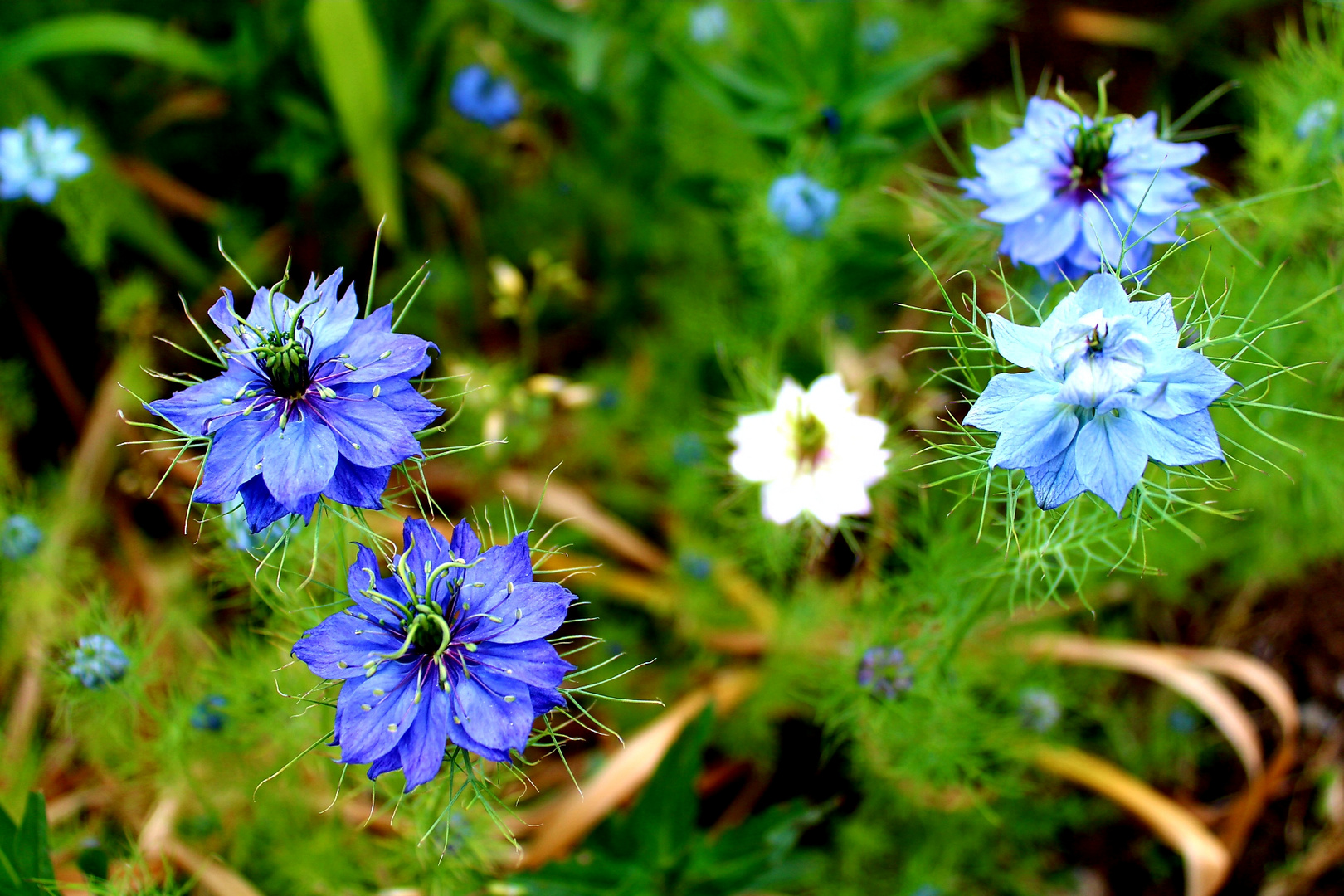 Naturschönheiten 