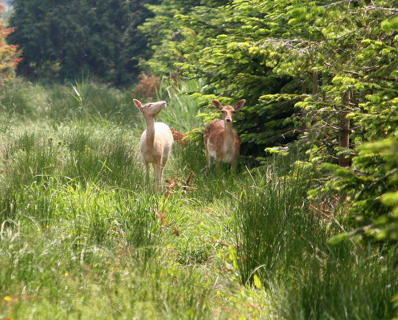 Naturschönheiten