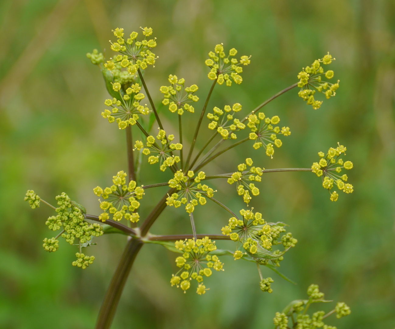 Naturschönheiten