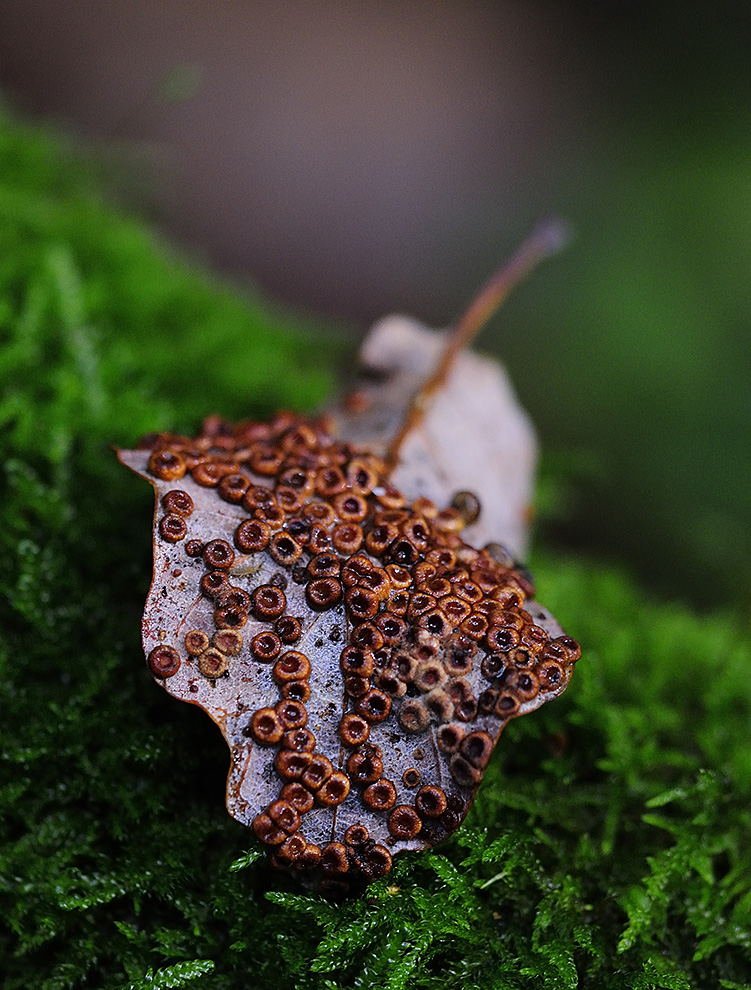 Naturschönheiten