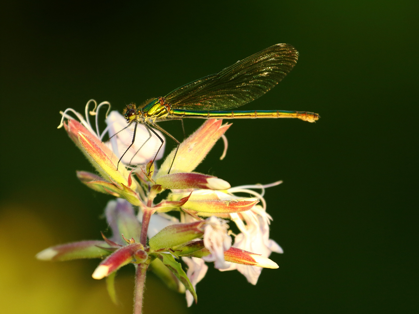 Naturschönheiten