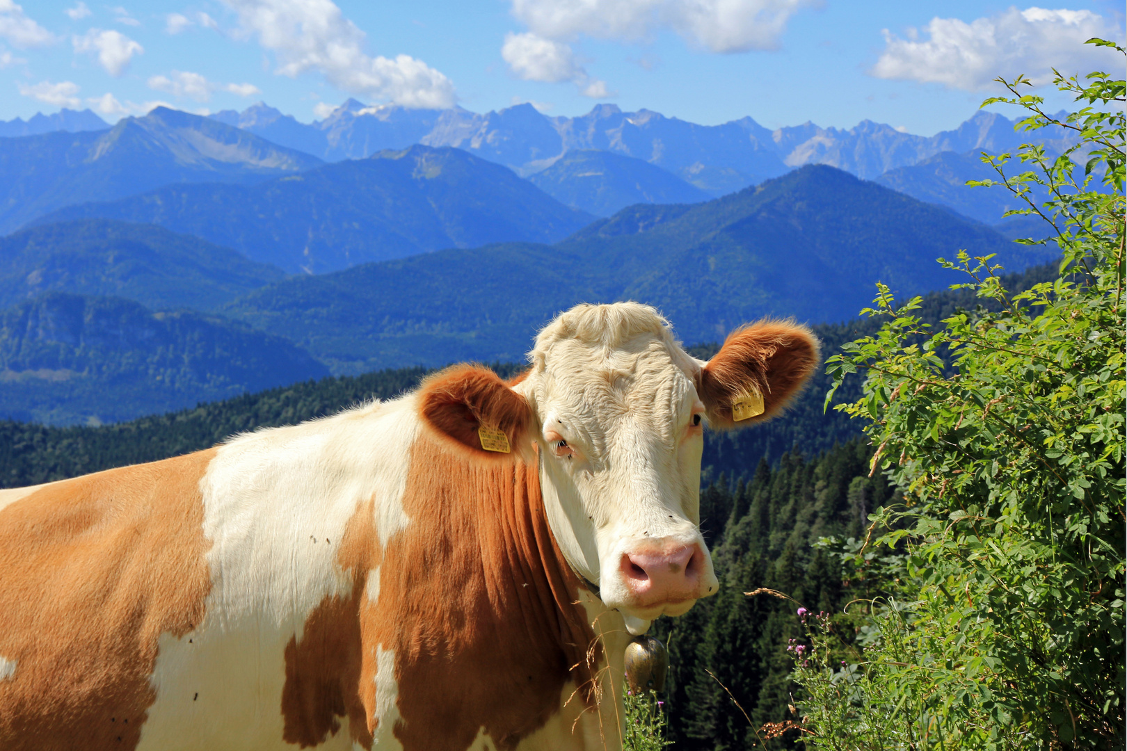 Naturschönheiten vorn und hinten