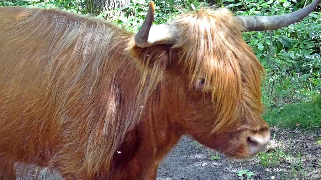 Naturschützerin