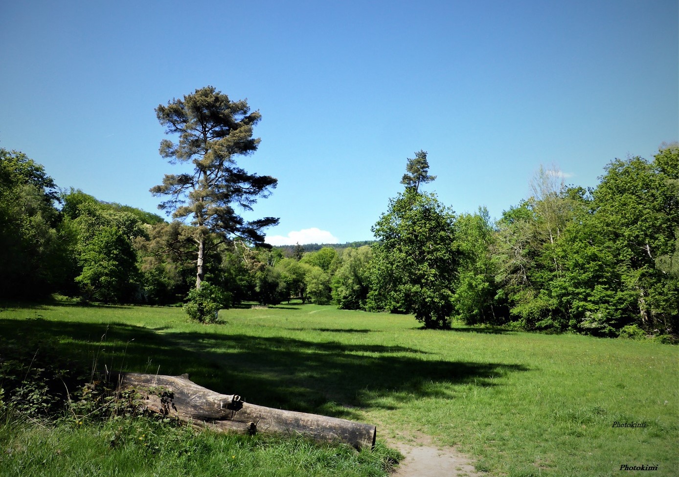 Naturschützgebiet in Wiesbaden