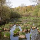 Naturschutgebiet Hemsbach