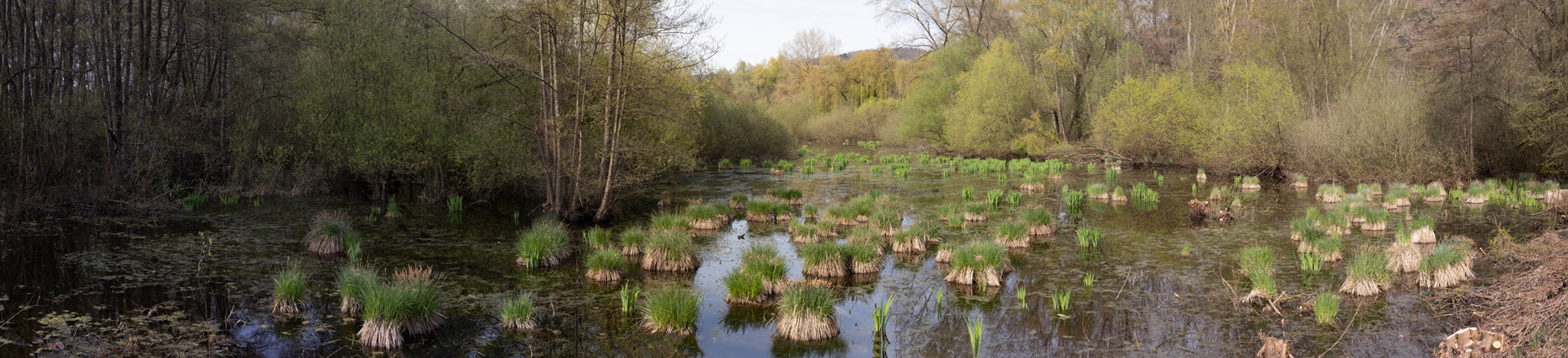 Naturschutgebiet Hemsbach