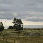 Naturschutz am Lensterstrand