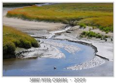 Naturschutz- gebiet Wattenmeer