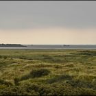 Naturschutzbegiet Langeoog