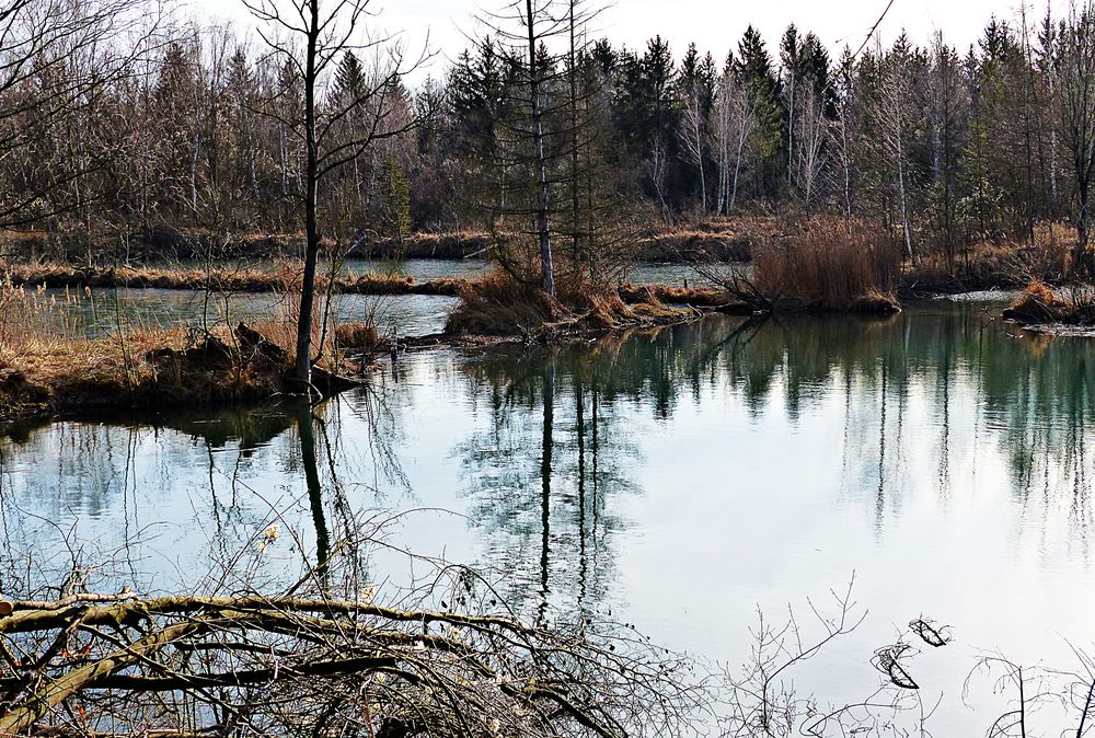 Naturschutzgebiet 1 Foto & Bild landschaft, bach, fluss & see