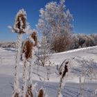 Naturschutzgebiet......