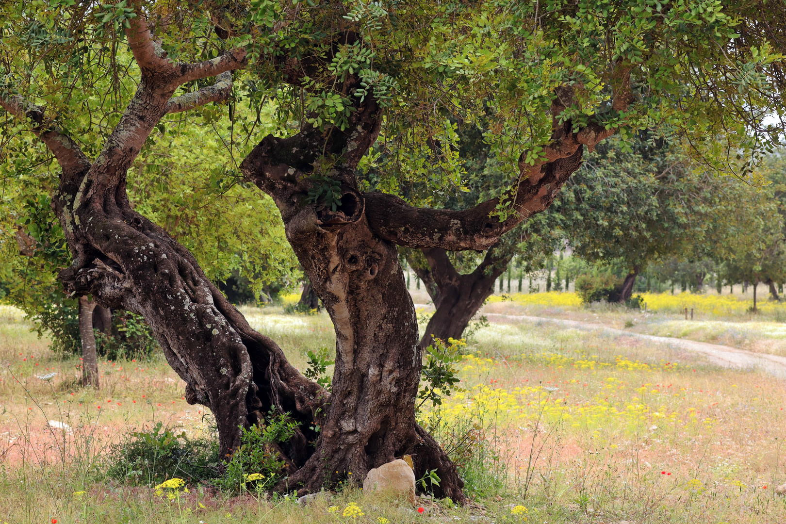 Naturschutzgebiet