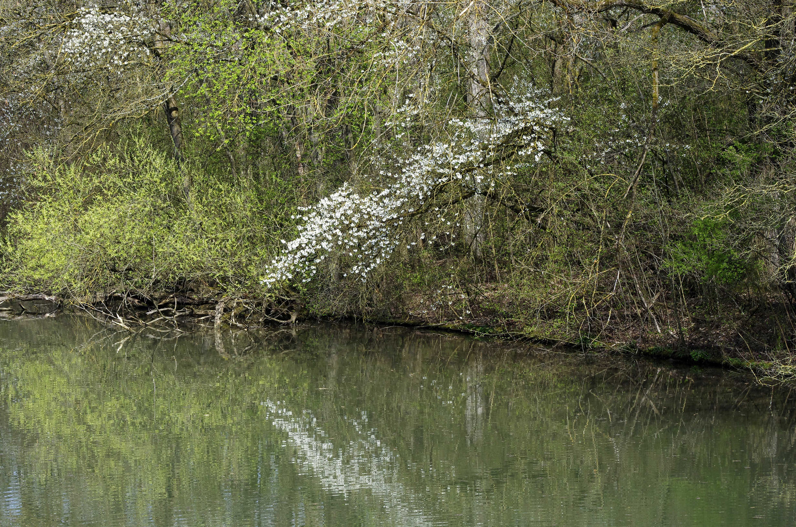 ...Naturschutzgebiet