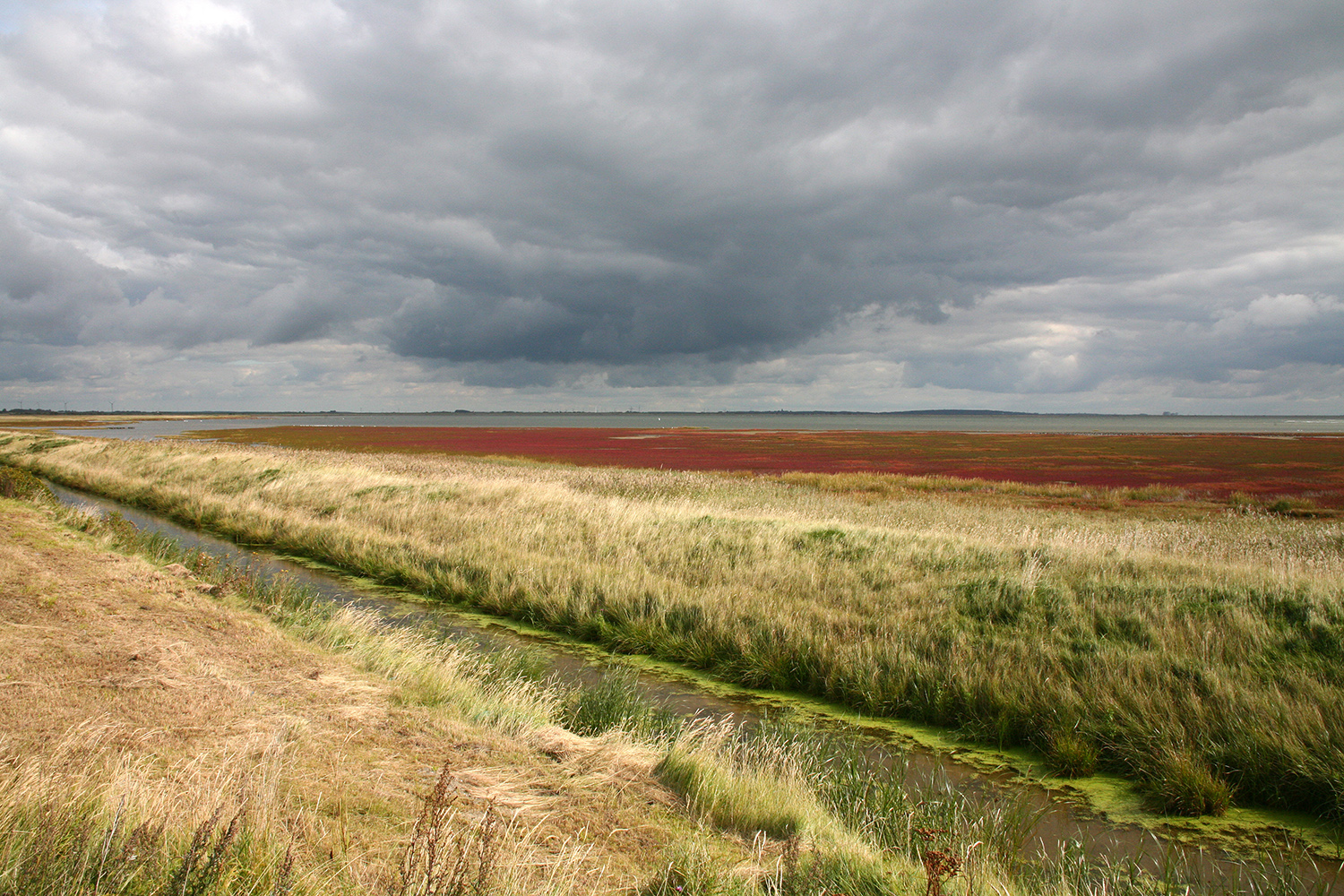 Naturschutzgebiet