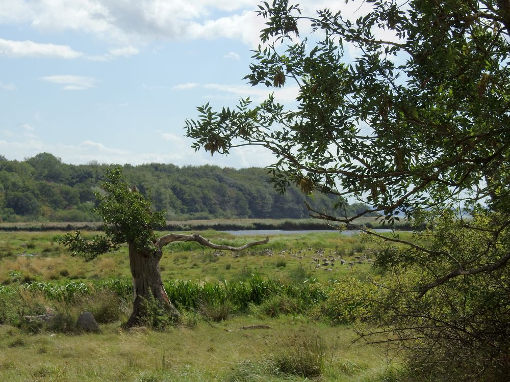 Naturschutzgebiet 4.0