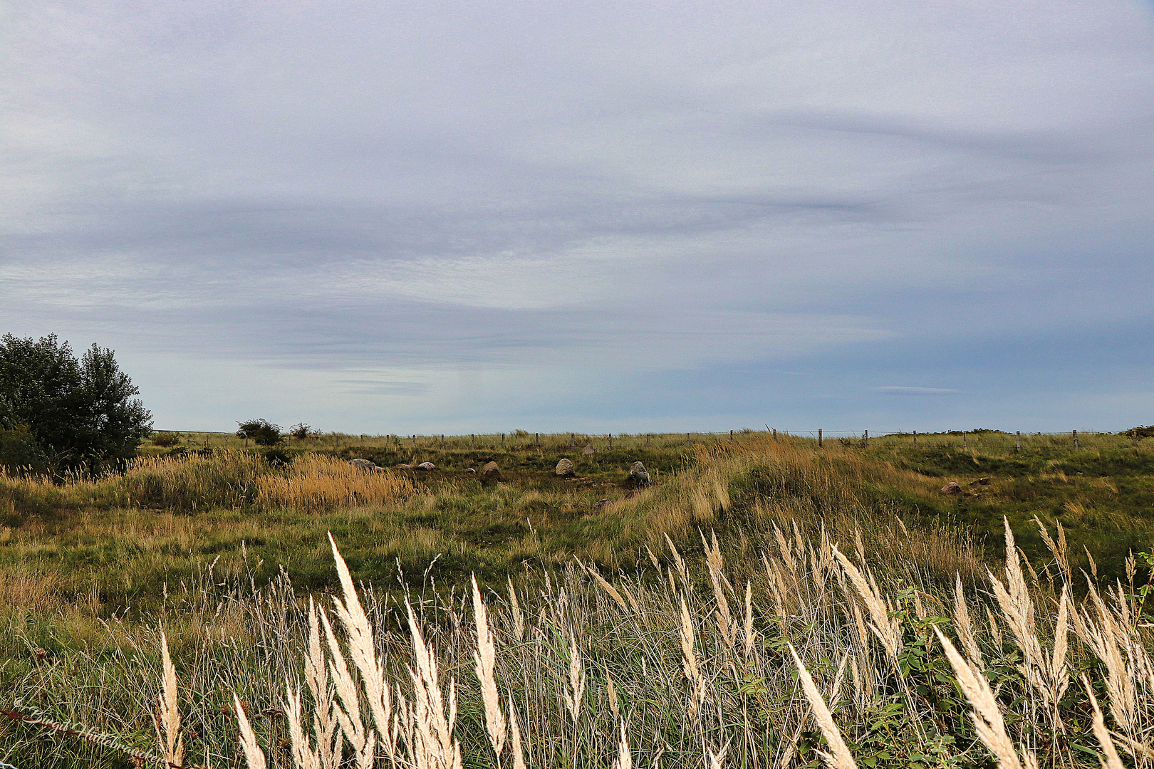 Naturschutzgebiet Foto & Bild deutschland, europe, schleswig