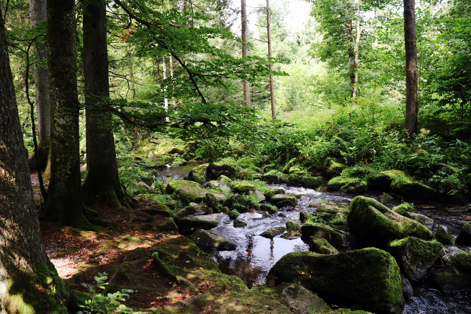 Naturschutzgebiet