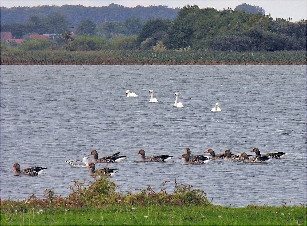 Naturschutzgebiet