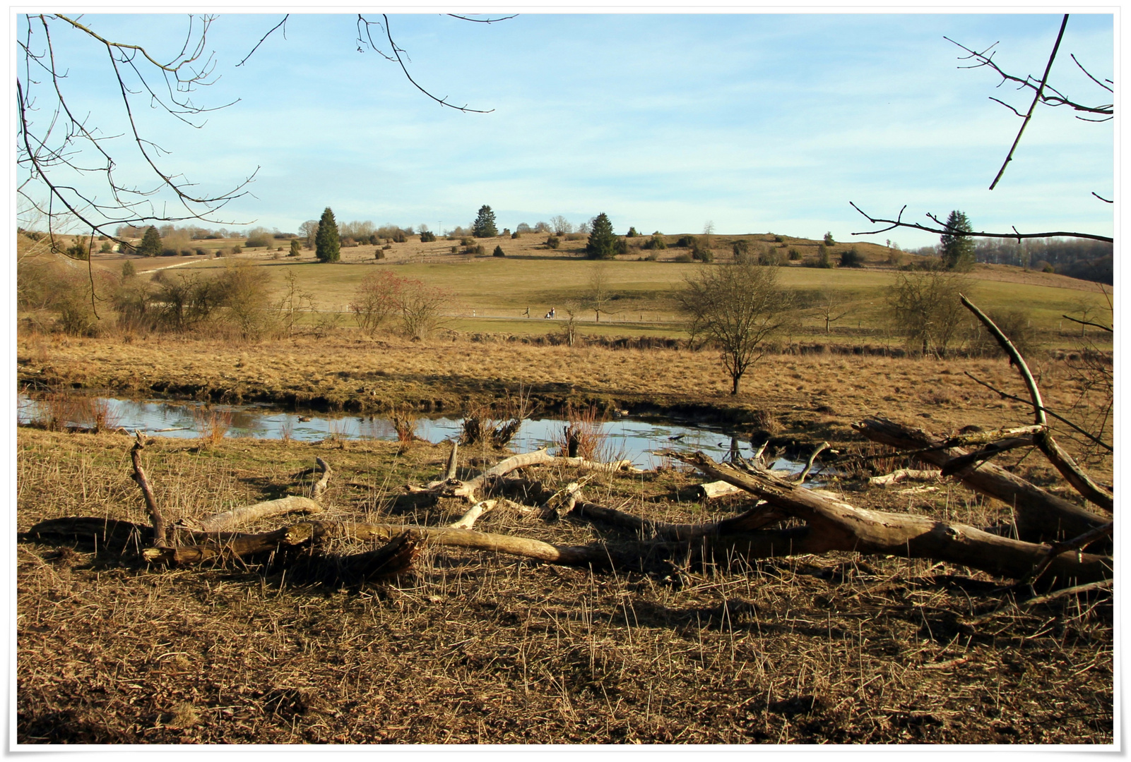 Naturschutzgebiet