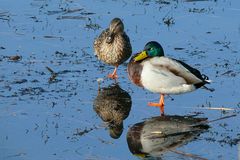 Naturschutzgebiet Aartalsee