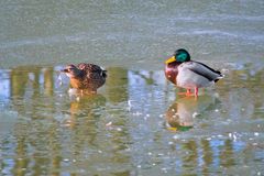 Naturschutzgebiet Aartalsee