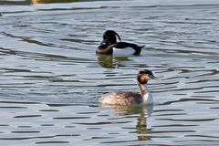 Naturschutzgebiet Aartalsperre