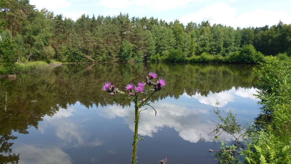 Naturschutzgebiet