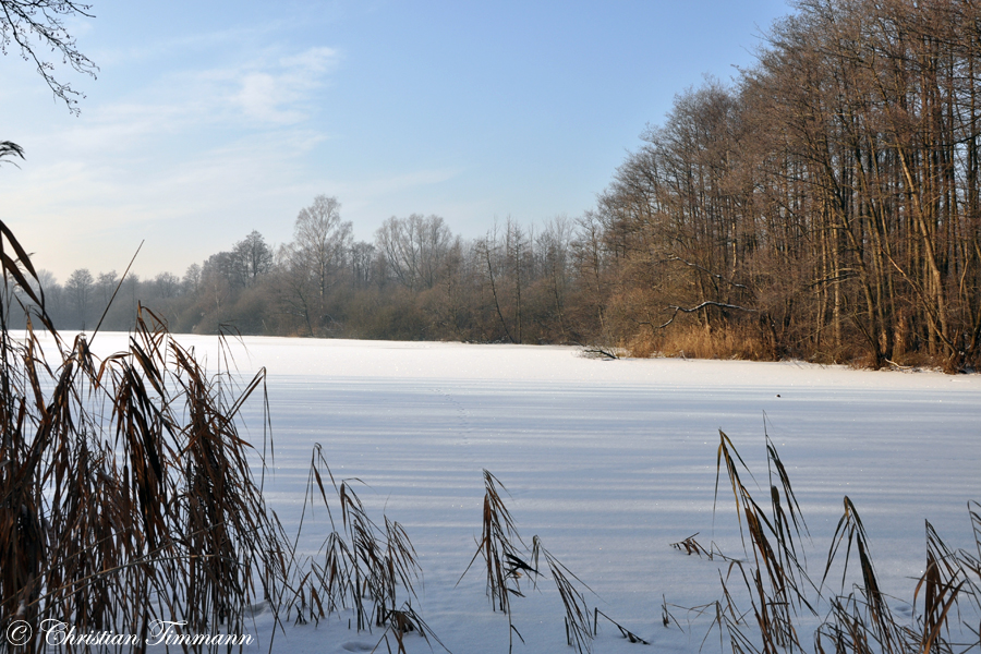 Naturschutzgebiet Achtermoor..