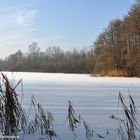 Naturschutzgebiet Achtermoor..