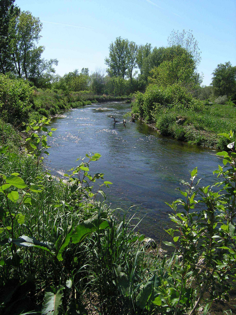 Naturschutzgebiet Ahr