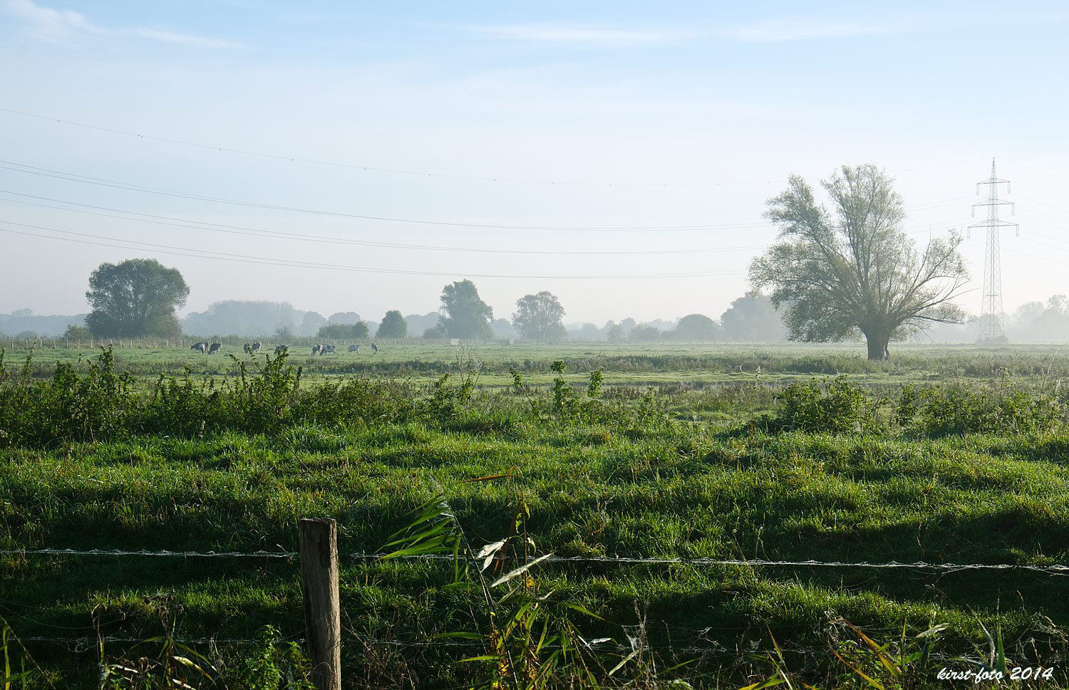 Naturschutzgebiet Ahsewiesen bei Hamm