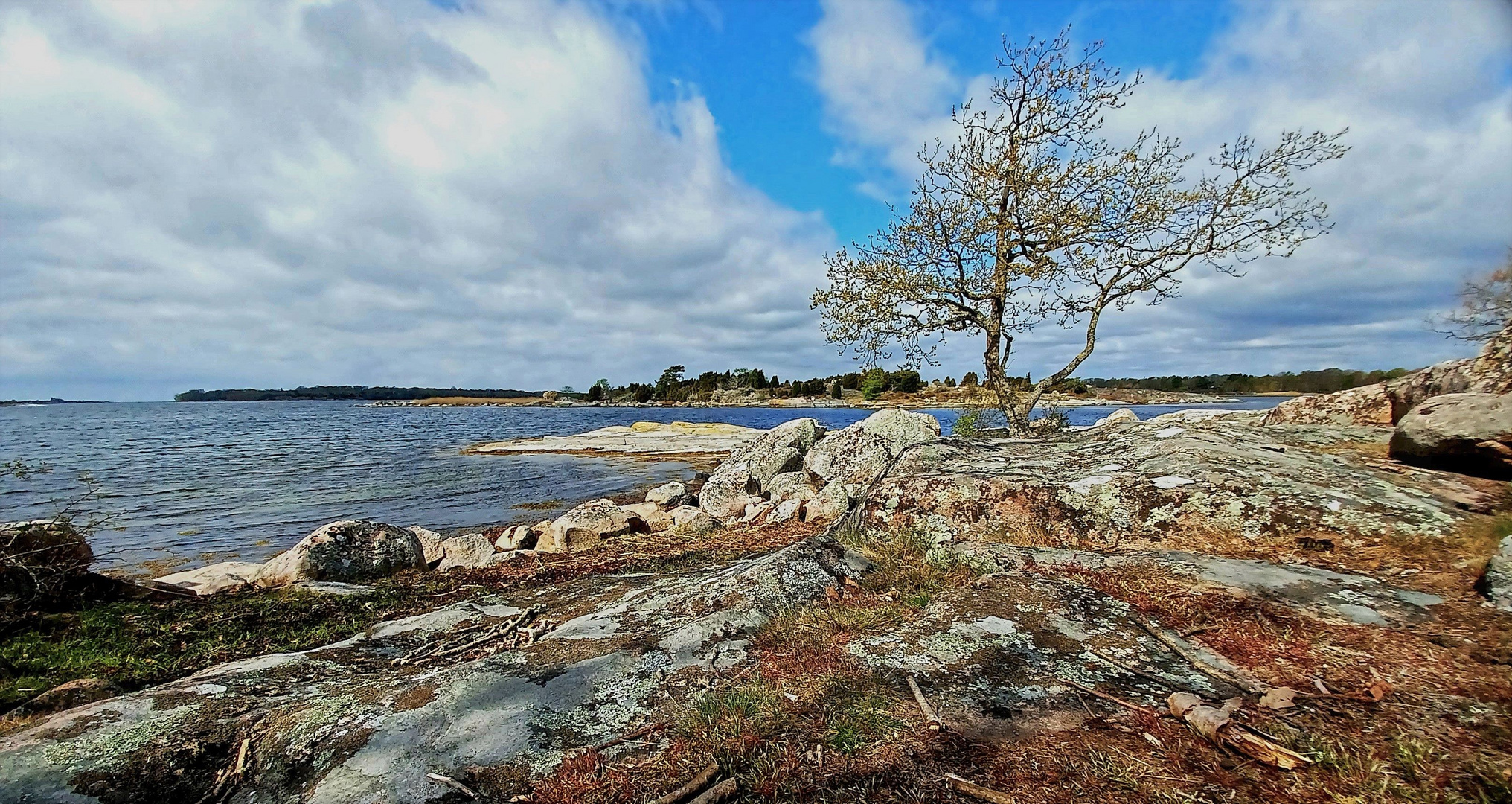 Naturschutzgebiet Almö