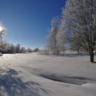 Naturschutzgebiet am Bismarkturm-Glauchau...........