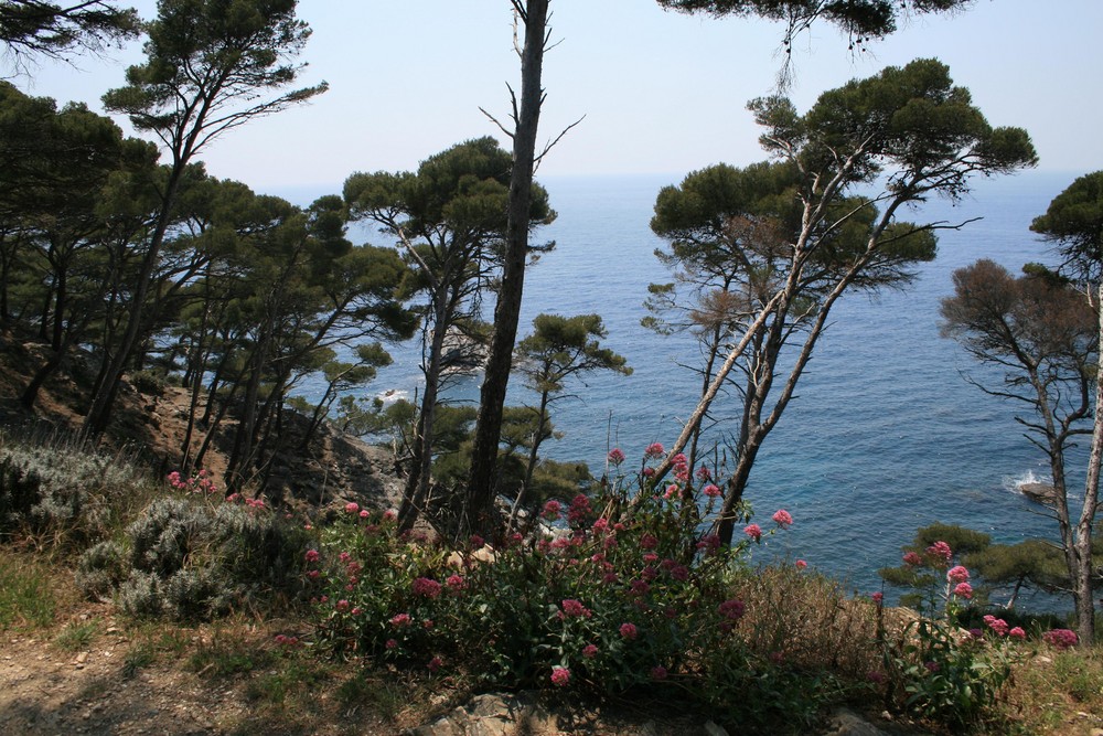 Naturschutzgebiet am Meer