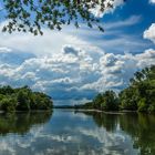 Naturschutzgebiet am Rhein