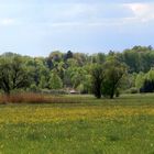 Naturschutzgebiet Ammersee