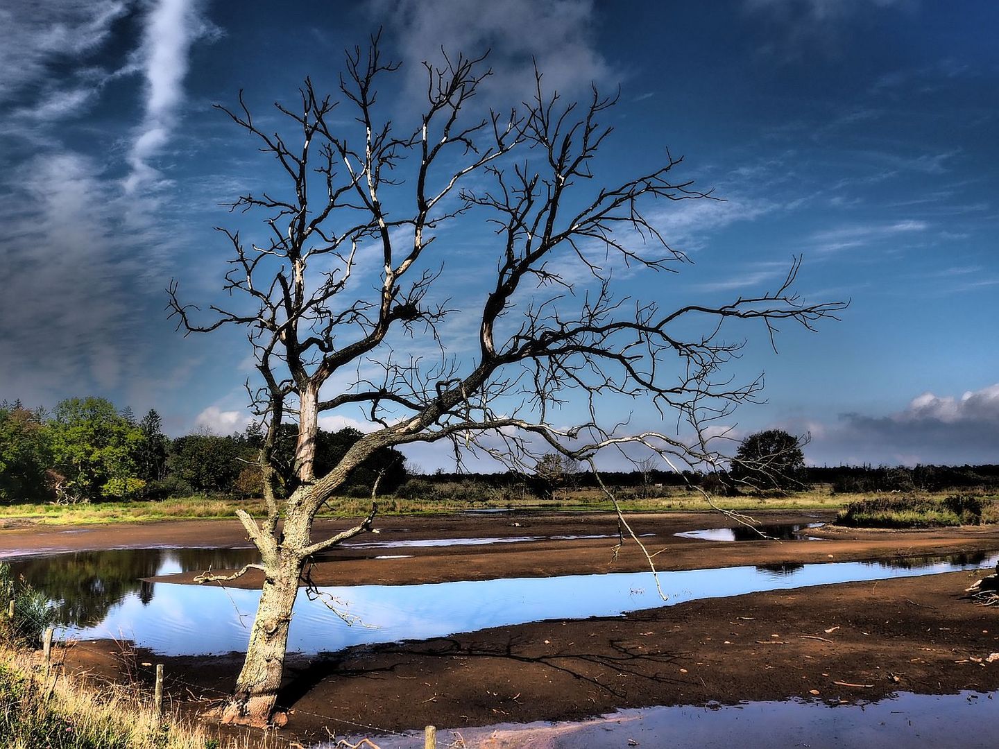 Naturschutzgebiet an der Birk